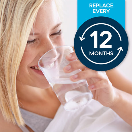 PureVania One-Year Filter Replacement Set for Tankless Remineralization RO System PV-RO1000TL